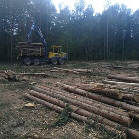 Himler Holz Burgenland