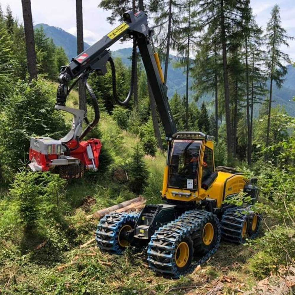 Himler Holz - Holzschlägerung