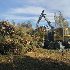 Himler Holz Burgenland