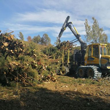 Himler Holz Burgenland