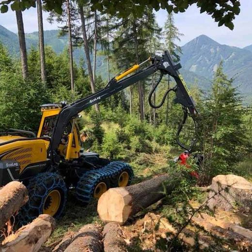 Holzschlägerung Himler Holz Burgenland