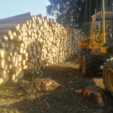 Himler Holz Burgenland