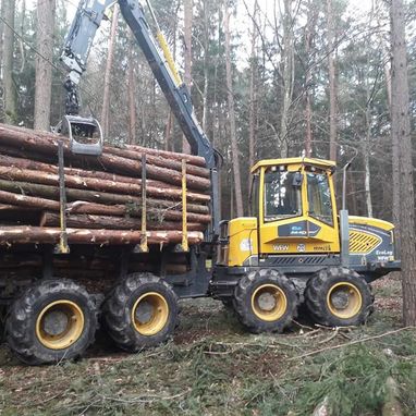 Himler Holz Burgenland