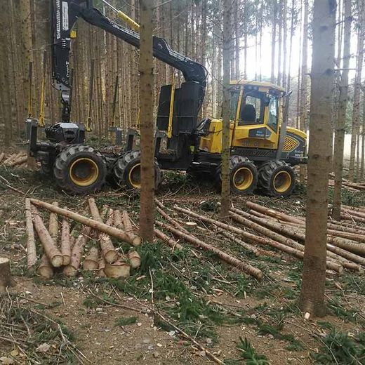 Holzschlägerung Himler Holz Burgenland