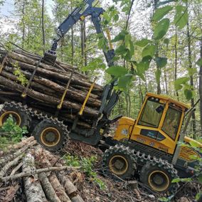 Himler Holz Burgenland