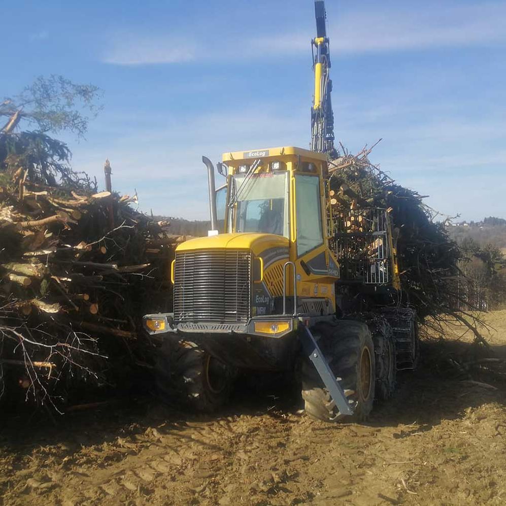 Himler Holz - Holzschlägerung