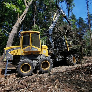 Himler Holz Burgenland