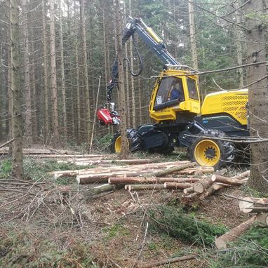 Himler Holz Burgenland