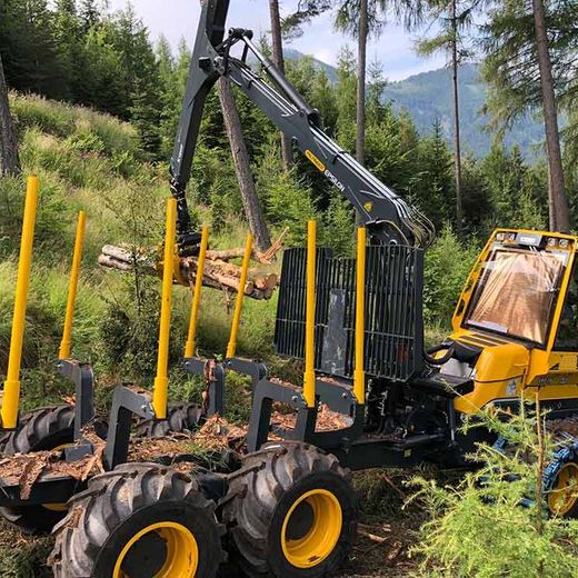 Holzschlägerung Himler Holz Burgenland