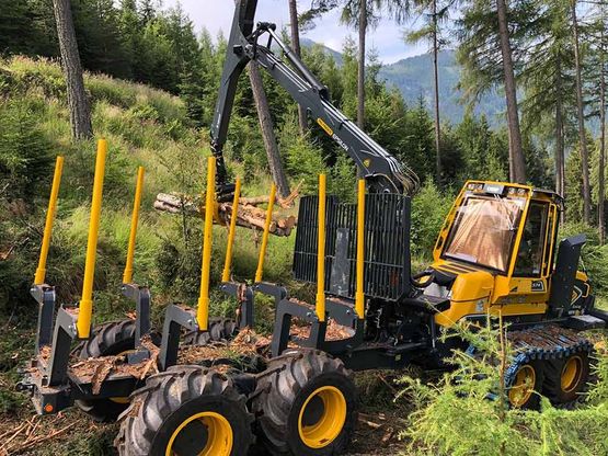 Holzschlägerung Himler Holz Burgenland