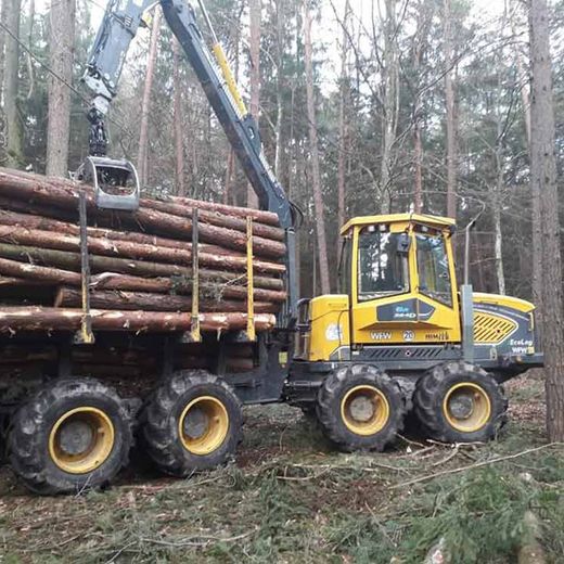 Holzschlägerung Himler Holz Burgenland