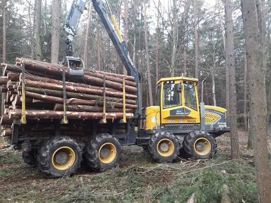 Holzschlägerung Himler Holz Burgenland